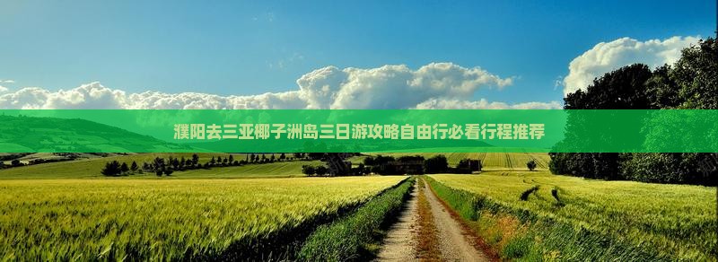濮阳去三亚椰子洲岛三日游