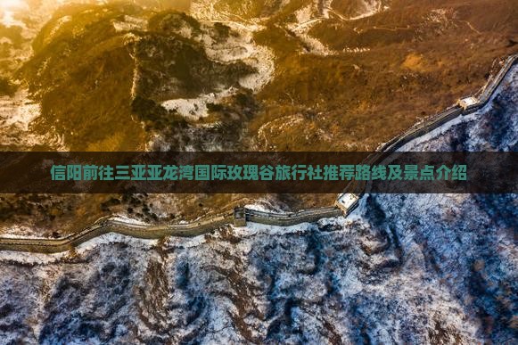 信阳前往三亚亚龙湾国际玫瑰谷旅行社