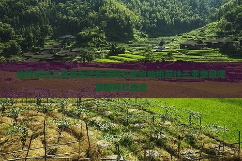 仙桃前往三亚皇后湾旅游网红地点