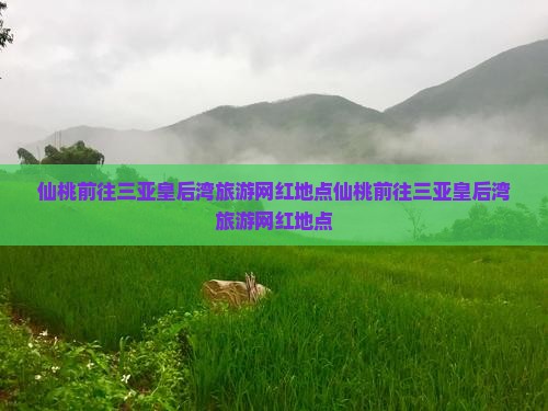 仙桃前往三亚皇后湾旅游网红地点