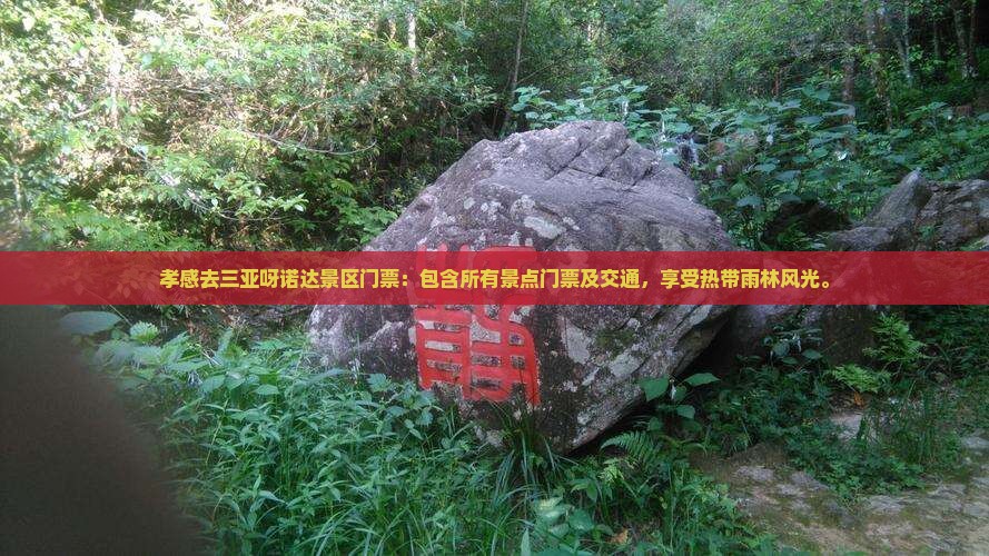 孝感去三亚呀诺达景区门票
