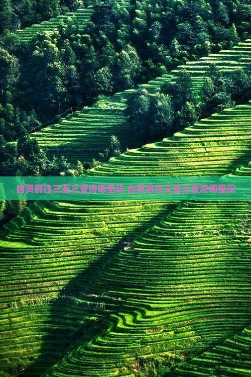 自贡前往三亚三亚湾哪里玩