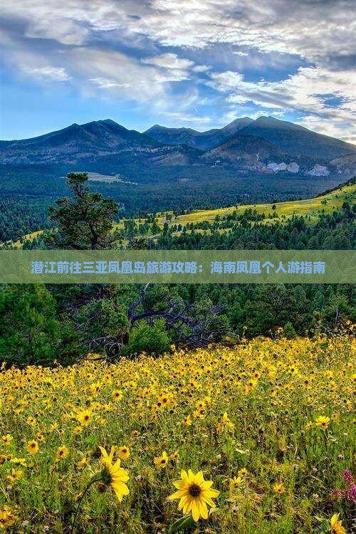 潜江前往三亚凤凰岛个人游