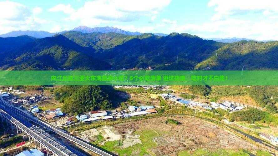 内江出发三亚大东海旅游小吃
