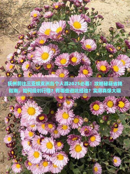 抚州前往三亚蜈支洲岛个人游