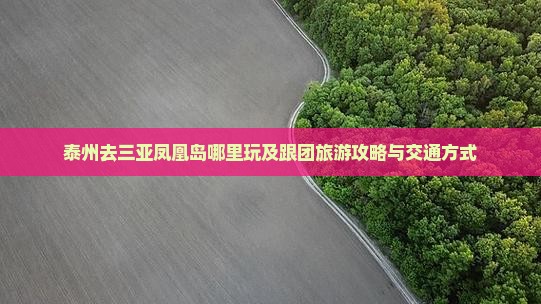 泰州去三亚凤凰岛哪里玩及跟团旅游攻略与交通方式