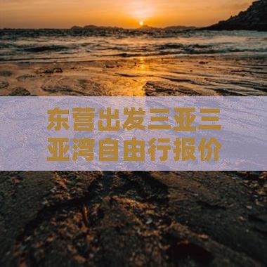 东营出发三亚三亚湾自由行报价费用价格