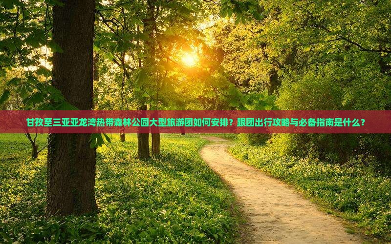 甘孜至三亚亚龙湾热带森林公园大型旅游团如何安排？跟团出行攻略与必备指南是什么？