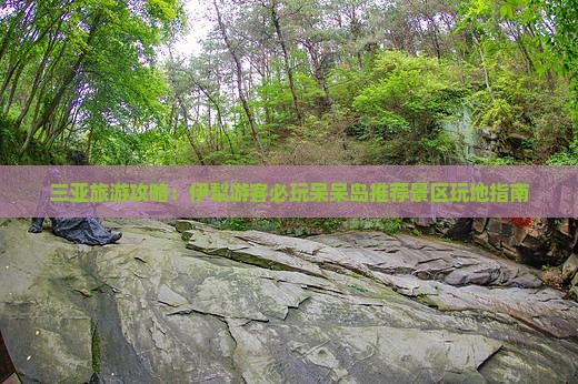三亚旅游攻略：伊犁游客必玩呆呆岛推荐景区玩地指南