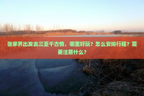 张家界出发去三亚千古情，哪里好玩？怎么安排行程？需要注意什么？