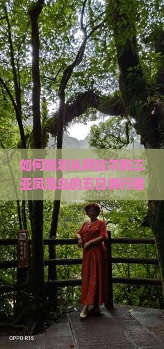 如何规划从阿拉尔到三亚凤凰岛的五日游行程与预算？