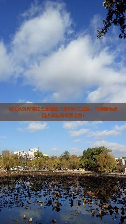 如何从蚌埠前往三亚鹿回头旅游网红地标，有哪些痛点和热词新词需要注意？