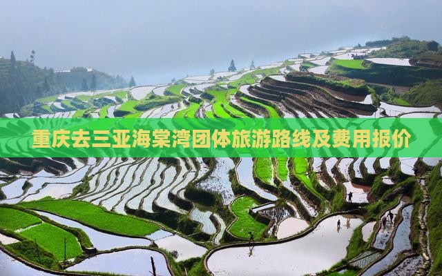 重庆去三亚海棠湾团体旅游路线及费用报价