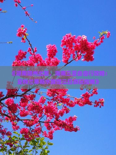 《湖南随州出发，海南三亚自由行攻略：亚特兰蒂斯水族馆三日游玩指南》