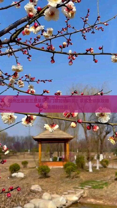 随州出发至三亚呆呆岛门票如何购买？求解免排队攻略及限时优惠！
