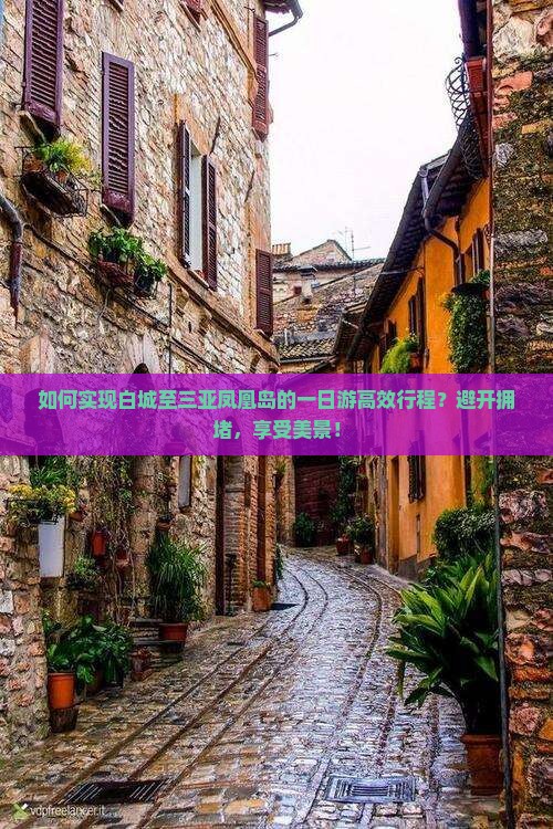 如何实现白城至三亚凤凰岛的一日游高效行程？避开拥堵，享受美景！