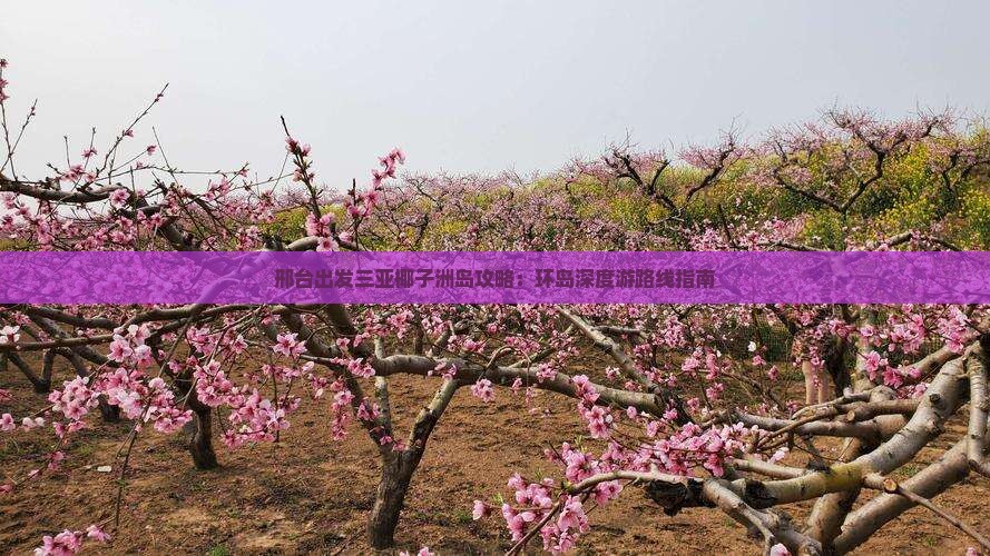 邢台出发三亚椰子洲岛攻略：环岛深度游路线指南