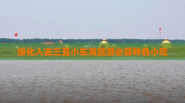 绥化人去三亚小东海旅游必尝特色小吃