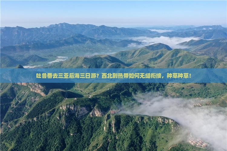 吐鲁番去三亚后海三日游？西北到热带如何无缝衔接，种草种草！
