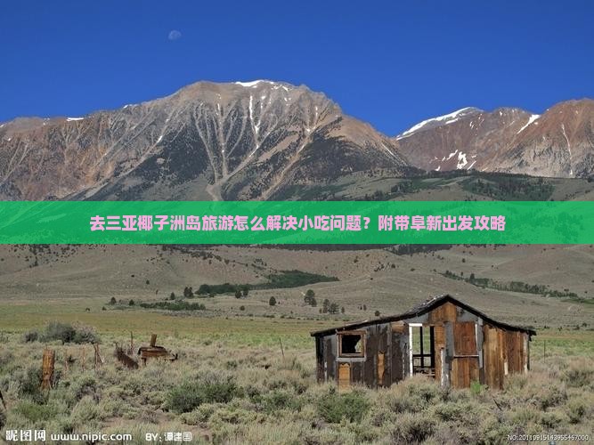去三亚椰子洲岛旅游怎么解决小吃问题？附带阜新出发攻略