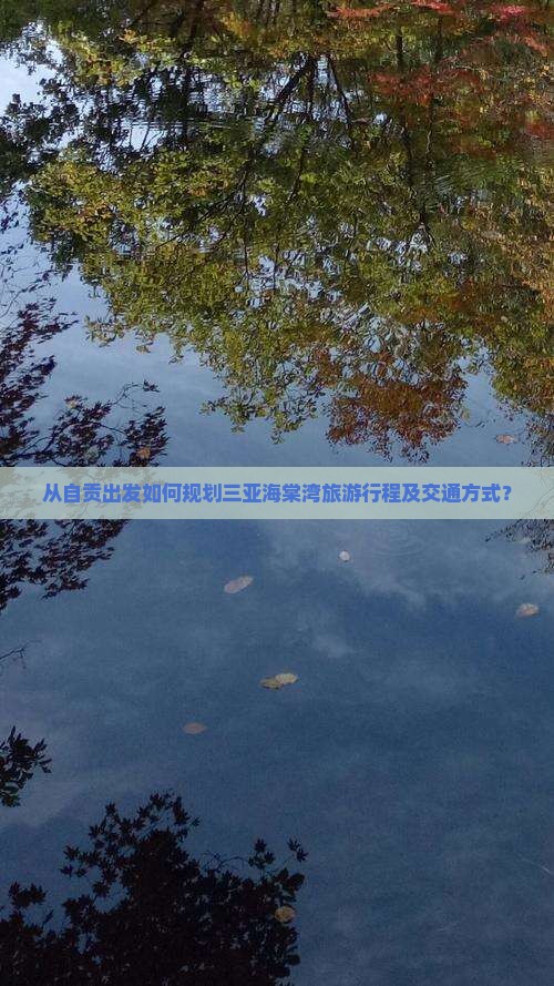 从自贡出发如何规划三亚海棠湾旅游行程及交通方式？