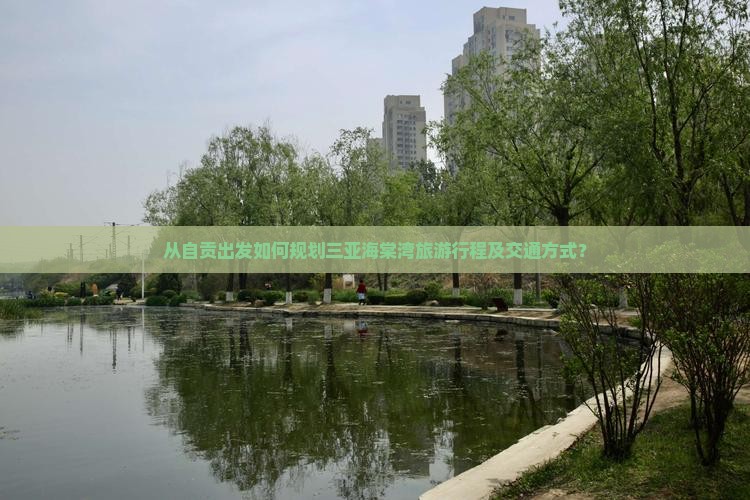 从自贡出发如何规划三亚海棠湾旅游行程及交通方式？