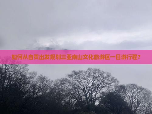 如何从自贡出发规划三亚南山文化旅游区一日游行程？