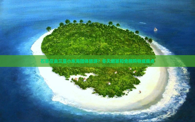 石家庄去三亚小东海团体旅游？冬天避寒和免税购物成痛点