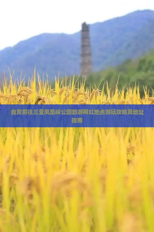 自贡前往三亚凤凰岭公园旅游网红地点游玩攻略及地址指南