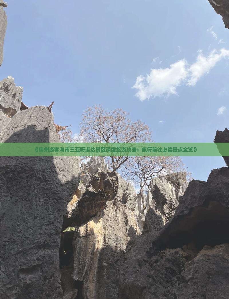 《宿州游客海南三亚呀诺达景区深度旅游攻略：旅行前往必读景点全览》