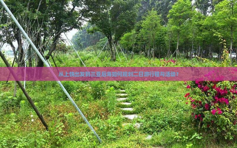 从上饶出发到三亚后海如何规划二日游行程与活动？