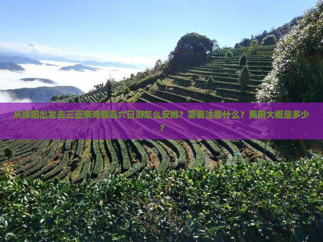 从绵阳出发去三亚南湾猴岛六日游怎么安排？需要注意什么？费用大概是多少？