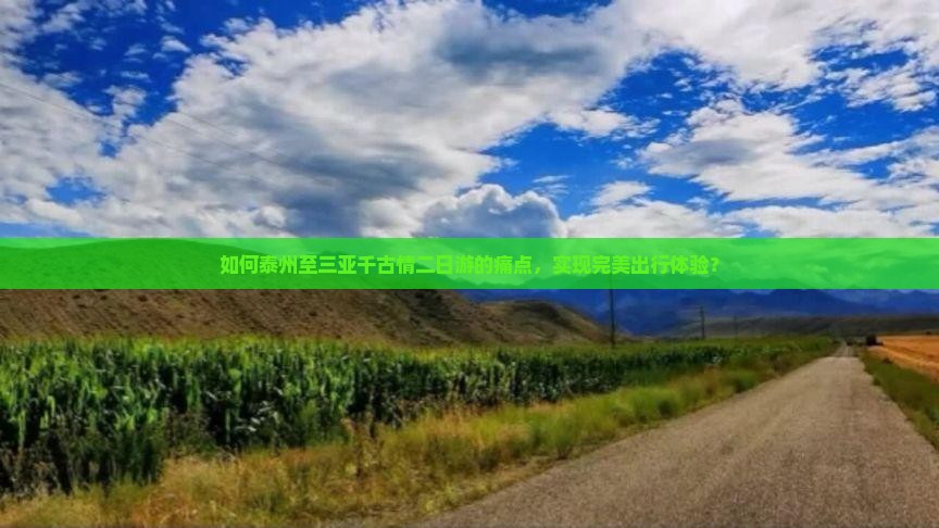 如何泰州至三亚千古情二日游的痛点，实现完美出行体验？