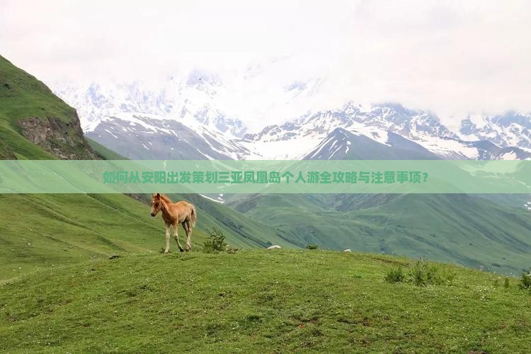 如何从安阳出发策划三亚凤凰岛个人游全攻略与注意事项？