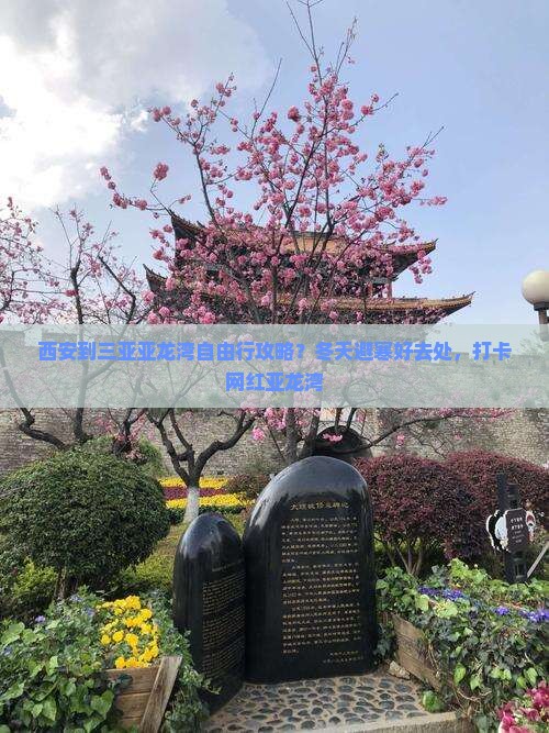 西安到三亚亚龙湾自由行攻略？冬天避寒好去处，打卡网红亚龙湾