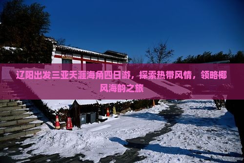 辽阳出发三亚天涯海角四日游，探索热带风情，领略椰风海韵之旅