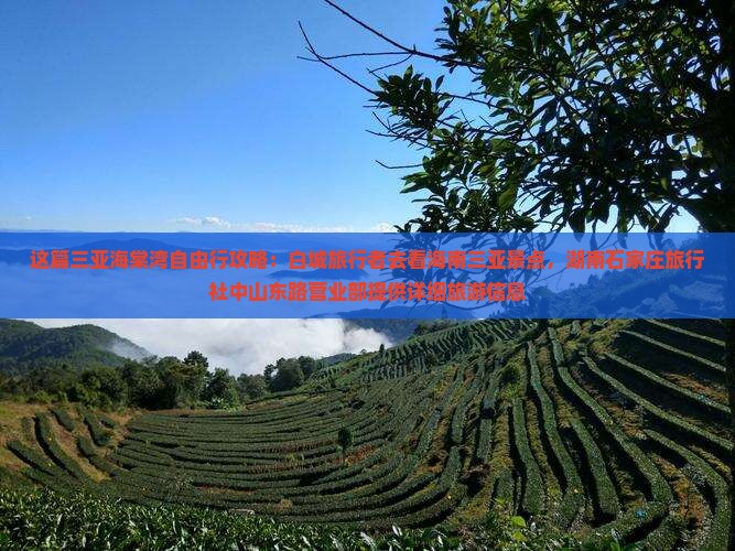 这篇三亚海棠湾自由行攻略：白城旅行者去看海南三亚景点，湖南石家庄旅行社中山东路营业部提供详细旅游信息