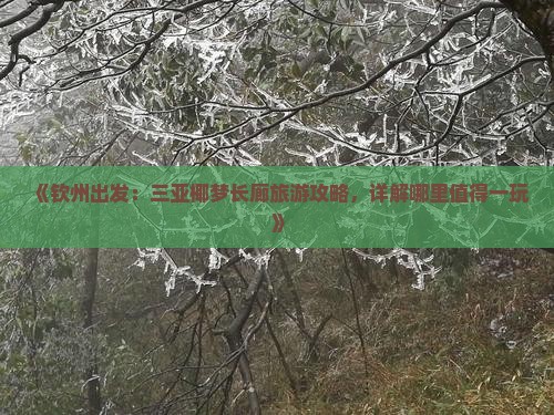 《钦州出发：三亚椰梦长廊旅游攻略，详解哪里值得一玩》