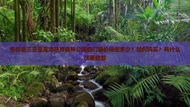 焦作去三亚亚龙湾热带森林公园的门票价格是多少？如何购买？有什么优惠政部