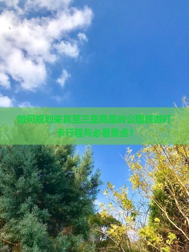 如何规划来宾至三亚凤凰岭公园旅游打卡行程与必看景点？
