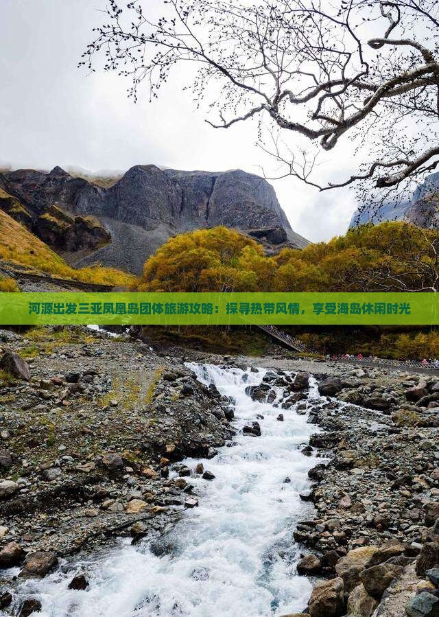 河源出发三亚凤凰岛团体旅游攻略：探寻热带风情，享受海岛休闲时光