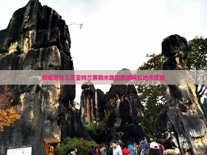 桐城前往三亚亚特兰蒂斯水族馆旅游网红地点攻略