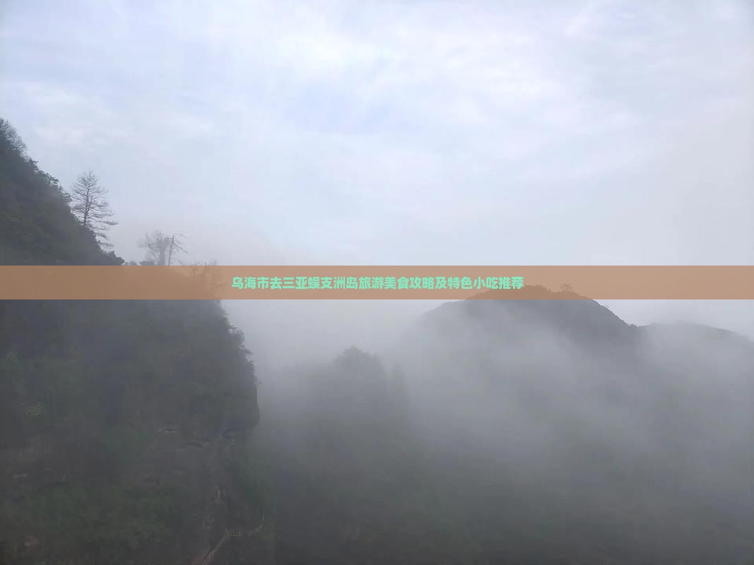 乌海市去三亚蜈支洲岛旅游美食攻略及特色小吃推荐