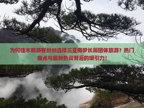 为何佳木斯游客纷纷选择三亚椰梦长廊团体旅游？热门痛点与最新热词背后的吸引力！