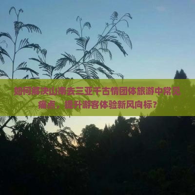 如何解决山南去三亚千古情团体旅游中常见痛点，提升游客体验新风向标？