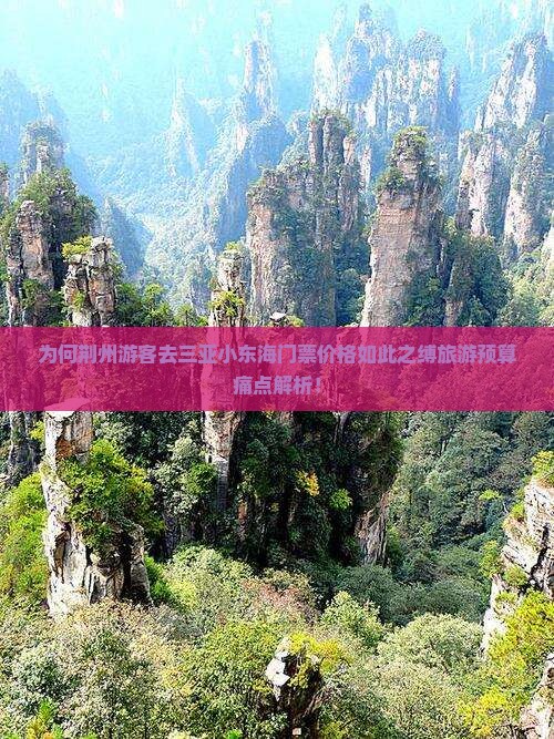 为何荆州游客去三亚小东海门票价格如此之缚旅游预算痛点解析！