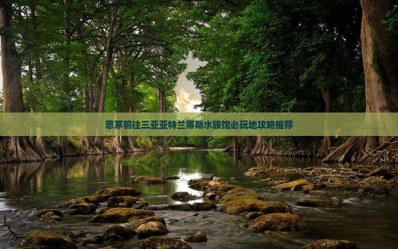 思茅前往三亚亚特兰蒂斯水族馆必玩地攻略推荐