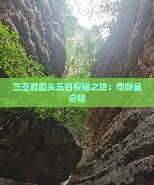 三亚鹿回头五日探秘之旅：鄢陵县启程