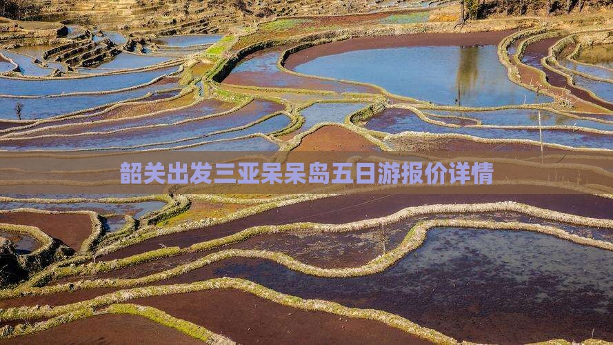 韶关出发三亚呆呆岛五日游报价详情