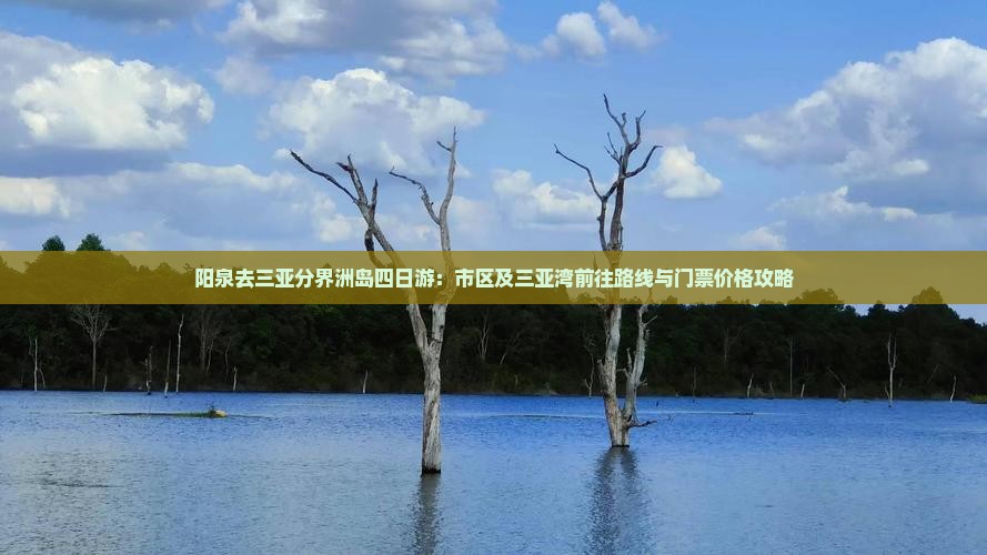 阳泉去三亚分界洲岛四日游：市区及三亚湾前往路线与门票价格攻略
